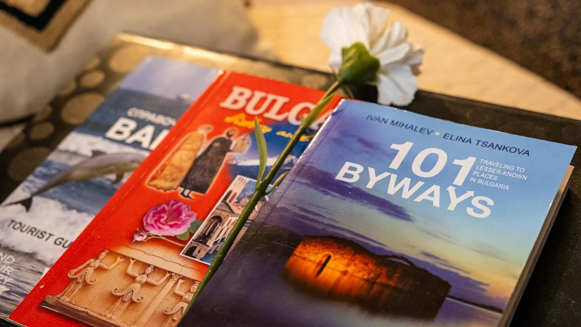 Bohemian Elly Room Varna Homestay